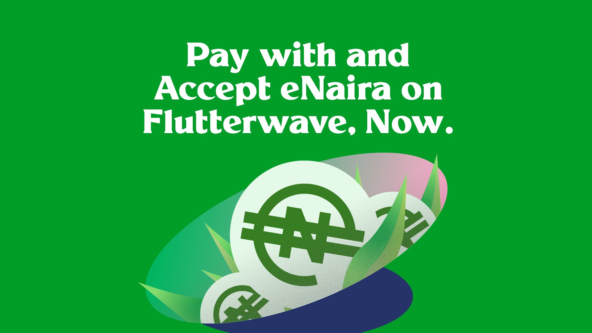Flutterwave adds Nigeria’s eNaira as payment option for merchants